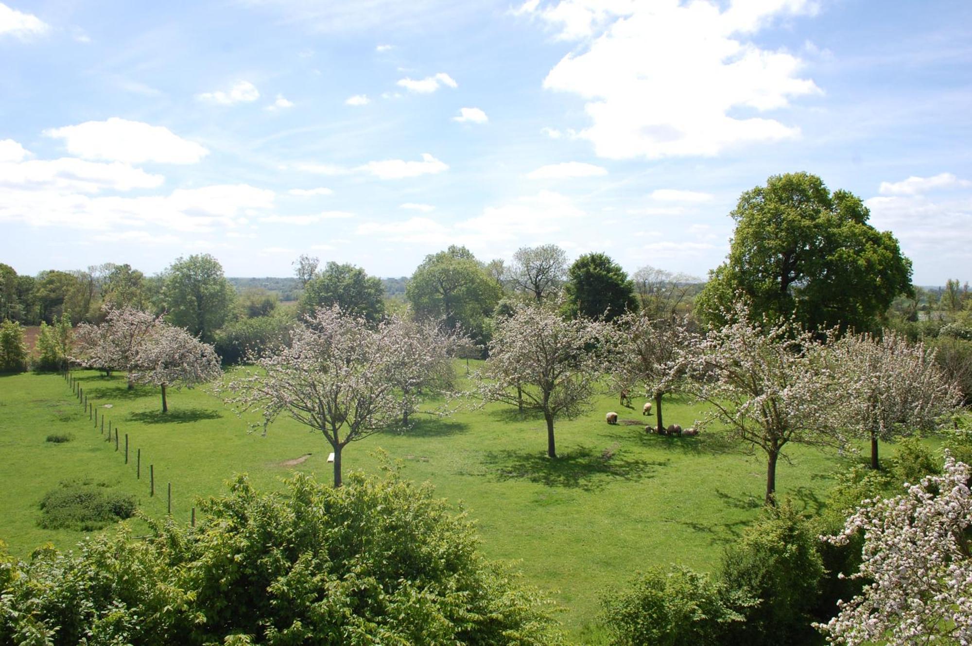 Le Clos Des Pommiers Tracy-sur-Mer Exteriör bild